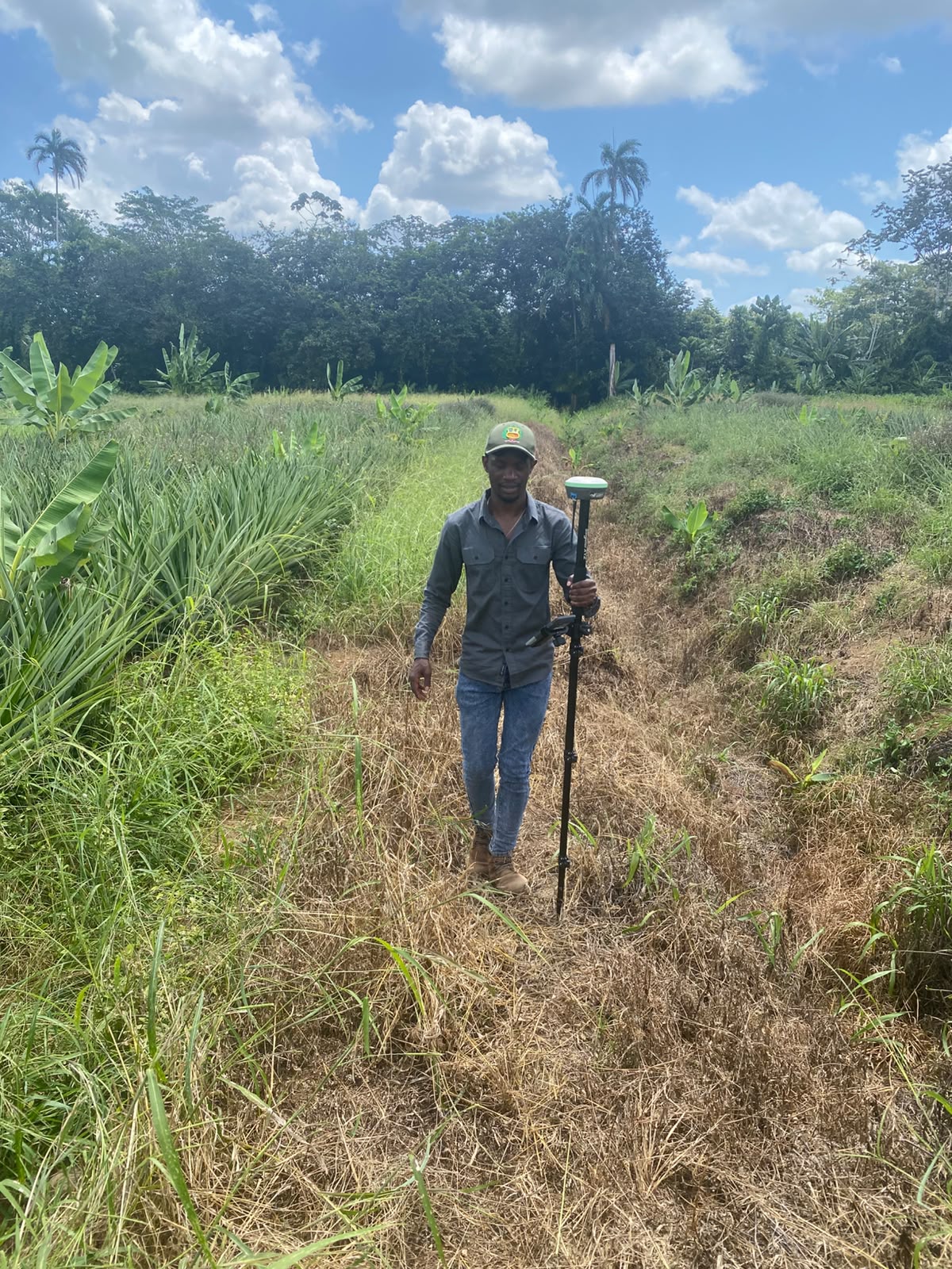 Field data collection